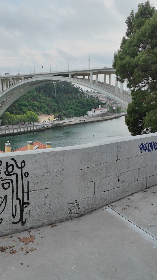 Own Lane,Own Pace,Own Race Tee - White